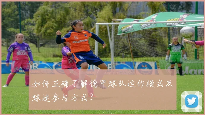 如何正确了解德甲球队运作模式及球迷参与方式?