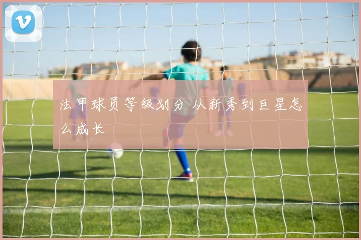 法甲球员等级划分 从新秀到巨星怎么成长