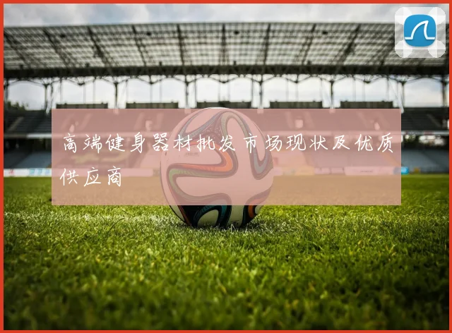 高端健身器材批发市场现状及优质供应商